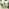 Tari & Hamburg Wood 4 Seat Round Table Garden Dining Set
