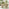 Tari & Hamburg Wood 4 Seat Round Table Garden Dining Set