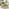 Tari & Hamburg Wood 4 Seat Round Table Garden Dining Set