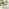 Tari & Hamburg Wood 4 Seat Round Table Garden Dining Set