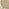 Tari Wood 4 Seat Round Garden Dining Table