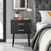 Taylor 2 Drawer Black Bedside Table Silver Handles