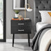 Taylor 2 Drawer Black Bedside Table Silver Handles