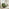 Tilda Green Fabric Accent Chair