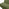 Tilda Green Fabric Accent Chair