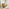 Tilda Mustard Yellow Fabric Accent Chair