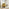 Tilda Mustard Yellow Fabric Accent Chair
