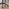 Ubico Black Mesh Office Chair