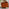 Jolene Burnt Orange Velvet 2 Seater Sofa