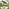 Vertical Green Garden Parasol & Base Set