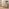 Vienne Oak Wood Effect 3 Door Sideboard
