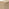 Vienne Oak Wood Effect 2 Door Sideboard