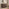 Vienne Walnut Wood Effect 2 Door Sideboard