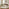 Vinson Rectangle Walnut Wood 2 Drawer Console Table