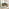 Veda Green Fabric Accent Tub Chair