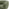 Veda Green Fabric Accent Tub Chair