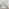 Venetian Mirrored Console and Vanity Dressing Table