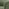 Vera Green Fabric Accent Chair
