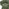 Vera Green Fabric Accent Chair