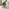 Vivienne Olive Green Velvet Swivel Office Chair