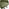 Vivienne Olive Green Velvet Swivel Office Chair