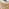 Svit Oak Effect 4 Drawer Tall Chest of Drawers