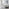 Azure White Solid Pine Double Bed Frame + Windsor Mattress
