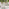 2x Elba Cream & Rattan Garden Dining Chairs