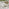 2x Elba Cream & Rattan Garden Dining Chairs