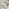 2x Elba Cream & Rattan Garden Dining Chairs