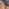 Leonardo 6 Dining Table and 6 Grey Pesaro Silver Leg Chairs
