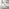 Imperia 6 White Dining Table and 6 Cream Pesaro Black Leg Chairs