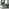 Kylo Brown Wood Effect Dining Table & 4 Green Pesaro Black Leg Chairs