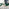 Leonardo 6 Gold Dining Table and 6 Green Pesaro Gold Leg Chairs