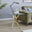 Leonardo Square Glass and Gold Side Table