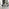 Novara White Marble Black Leg Round Dining Table & 4 Black Pesaro Black Leg Chairs