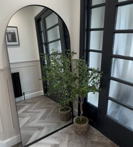 Hallway with black framed large arch wall mirror and potted olive tree for Mediterranean inspired home decor 