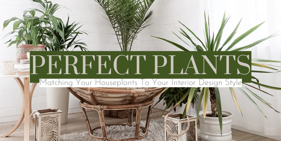 houseplant interior design inspiration blog image link