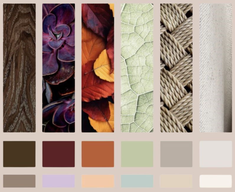 Funriturebox 2025 colour palette featuring warm brown, plum, burnt orage, sage green, grey and beige